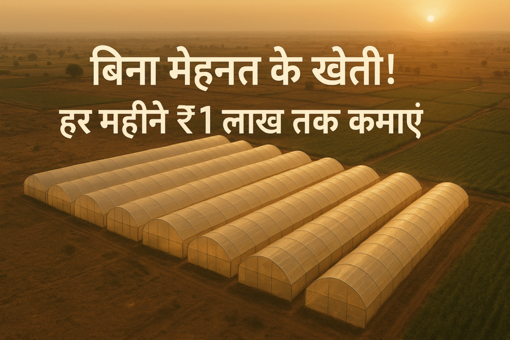 polyhouse inn rajasthan , haryana 