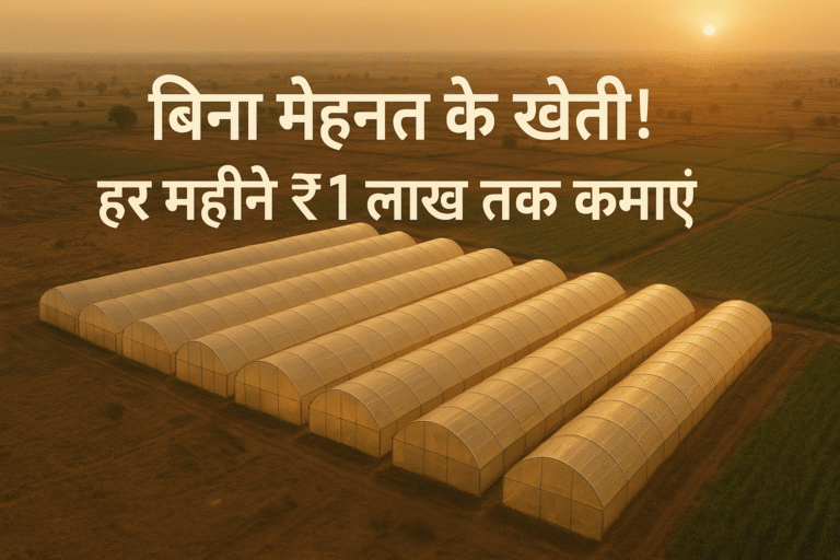 polyhouse inn rajasthan , haryana